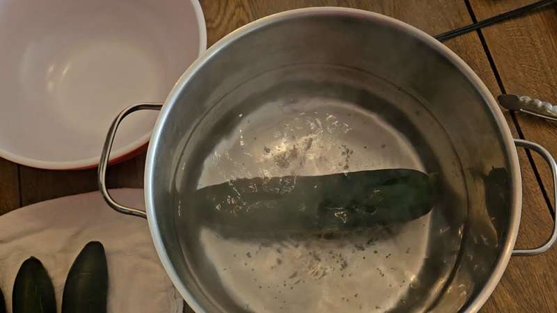 A single cucumber in a pot of boiling water.