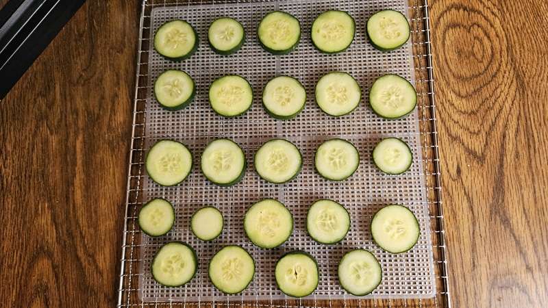 Sliced cucumbers on dehydrator trays.