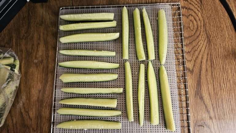 How to Dehydrate Cucumbers (Why You Might Never Want to Can Pickles Again)