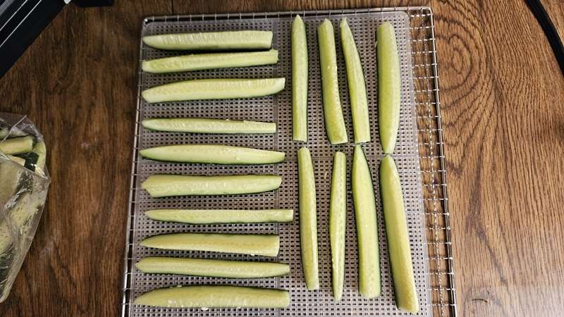 Dehydrator tray with cucumber spears not yet dehydrated.