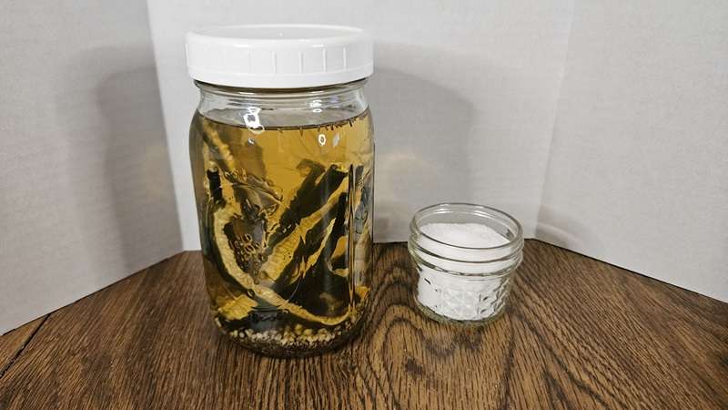 a jar with dehydrated cucumbers covered with pickle brine, next to a small jar of salt.
