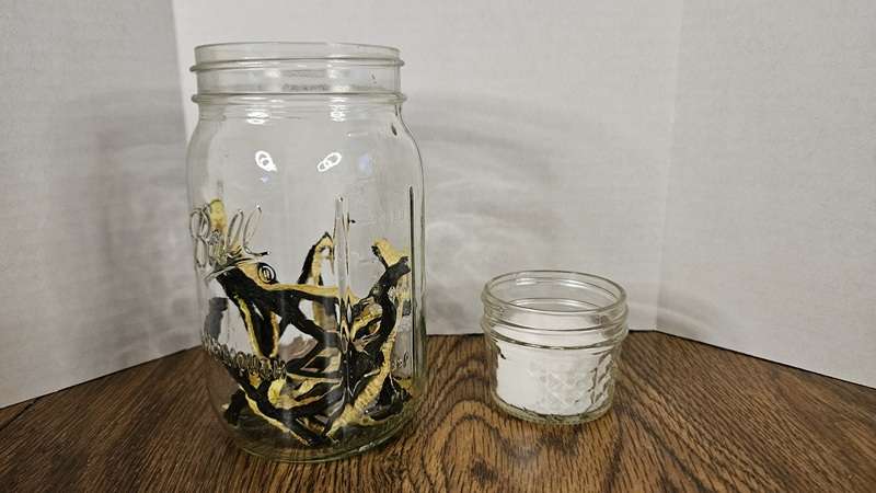 a jar with dehydrated cucumbers next to a small jar of salt