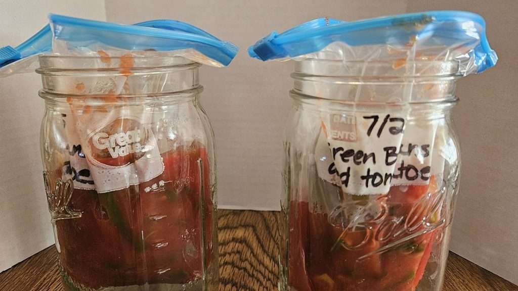 front view of green beans and tomatoes in freezer bags that are inside of quart-sized mason jars.