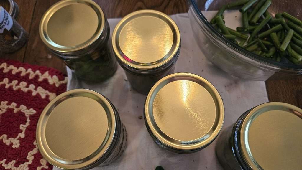canning lids on top of canning jars.