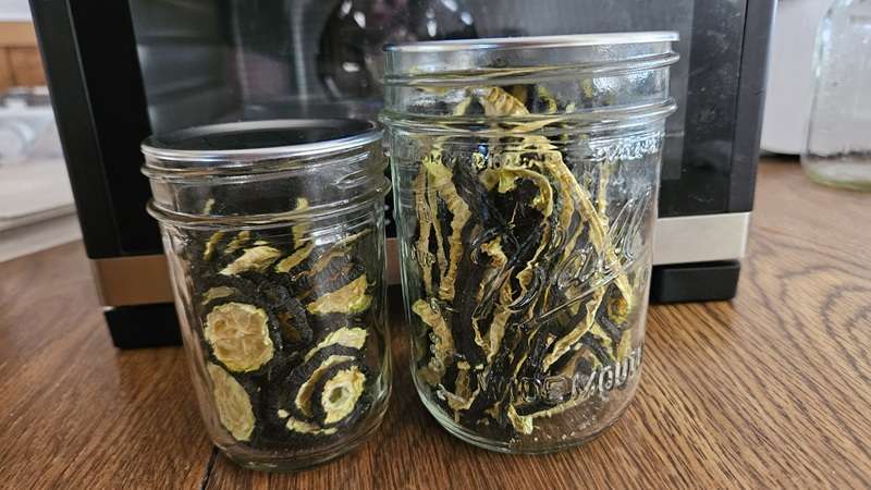 A half pint jars filled with dehydrated cucumber slices, and a pint sized mason jar filled with dehydrated cucumber spears. Both jars were vacuum sealed.