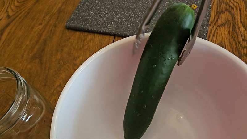 Putting the blanched cucumber into a bowl to cool.
