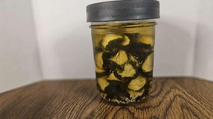 Easy Refrigerator Pickles from Dehydrated Cucumbers