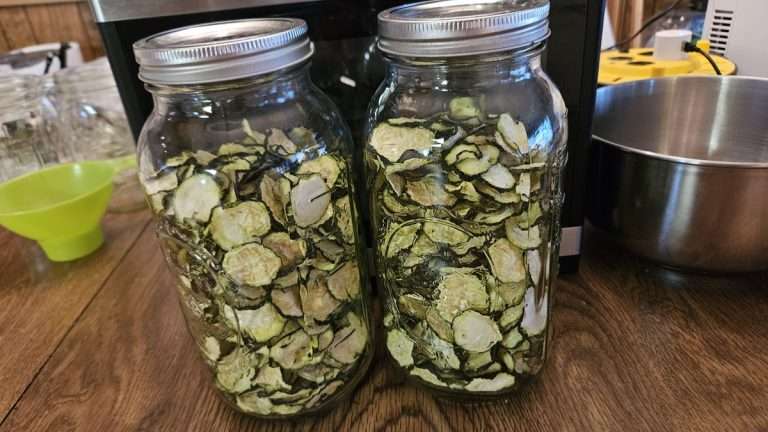 How to Dehydrate Zucchini for Long-Term Storage