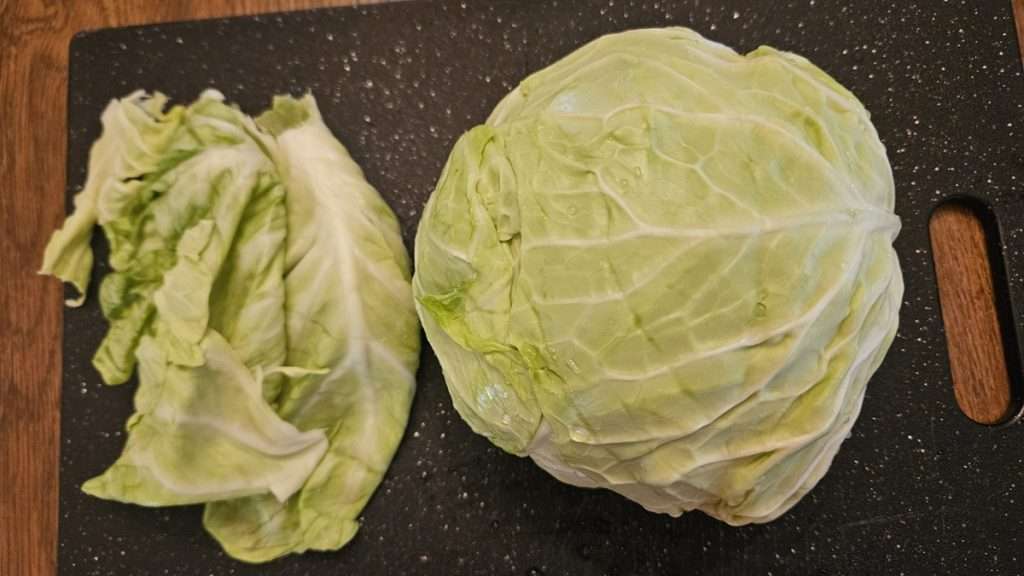 On the left are the outer leaves of the cabbage. On the right, next to the cabbage leaves, is the whole head of cabbage, with the outer leaves removed.
