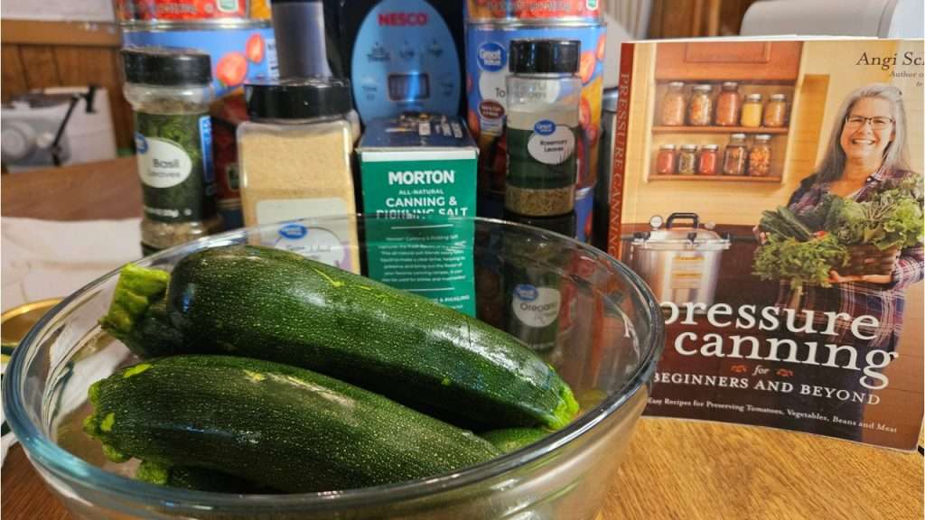 Ingredients for canning zucchini and tomato sauce