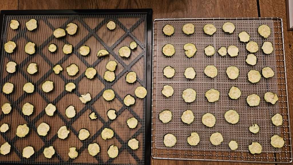 Partially dehydrated zucchini slices on two trays, with the Excalibur tray showing more dryness than the Cosori tray.