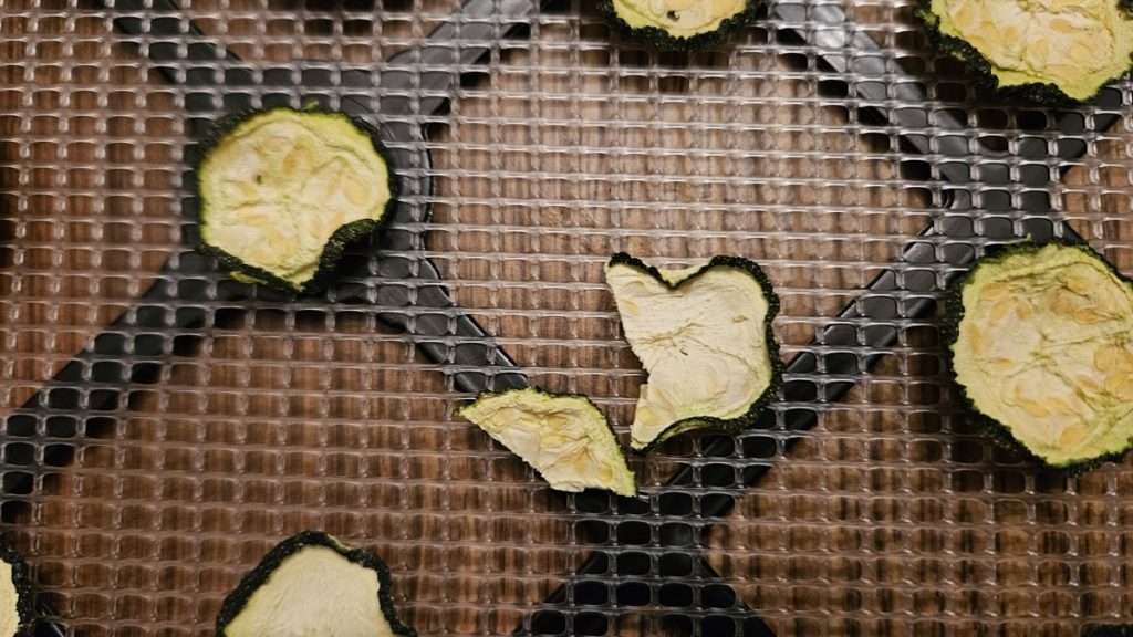 Fully dried, shriveled zucchini slices; one slice broken in half to show brittleness.