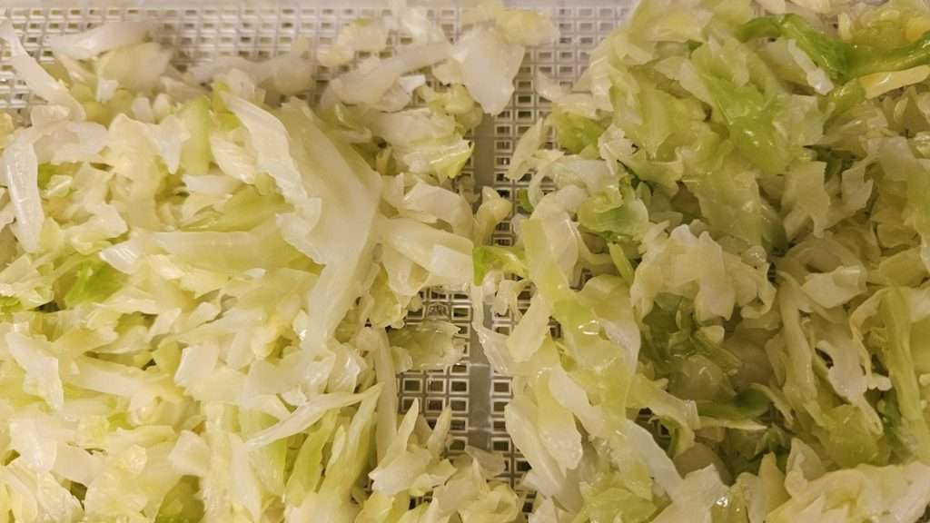 Close-up of shredded cabbage spread onto dehydrator tray before drying.