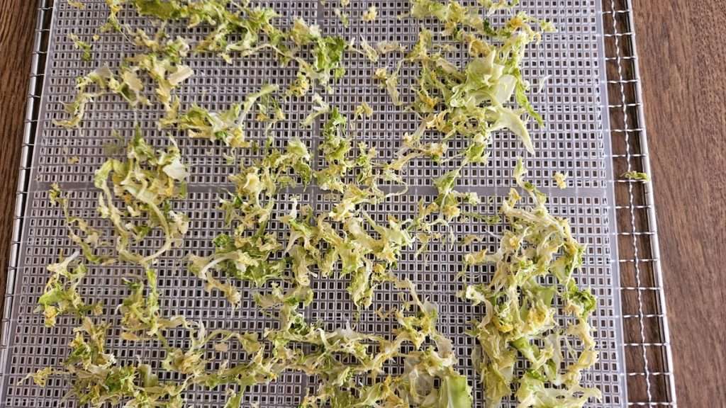 Dehydrator tray with cabbage, some still moist after 6 hours.