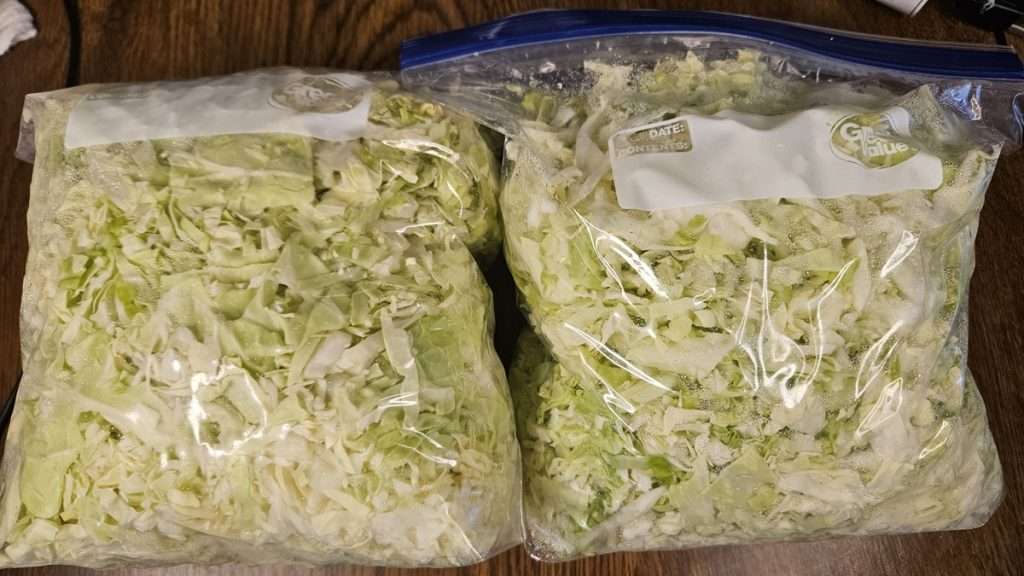 Two gallon-size bags filled with shredded cabbage.