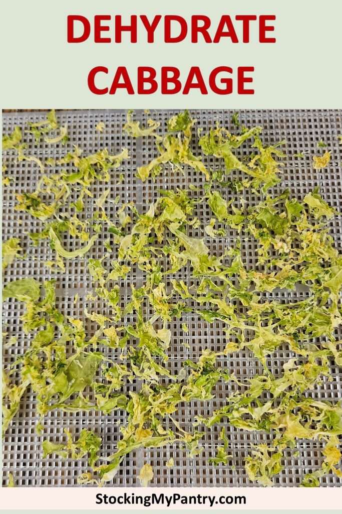 how to dehydrate cabbage pin with dehydrated cabbage on a dehydrator tray.