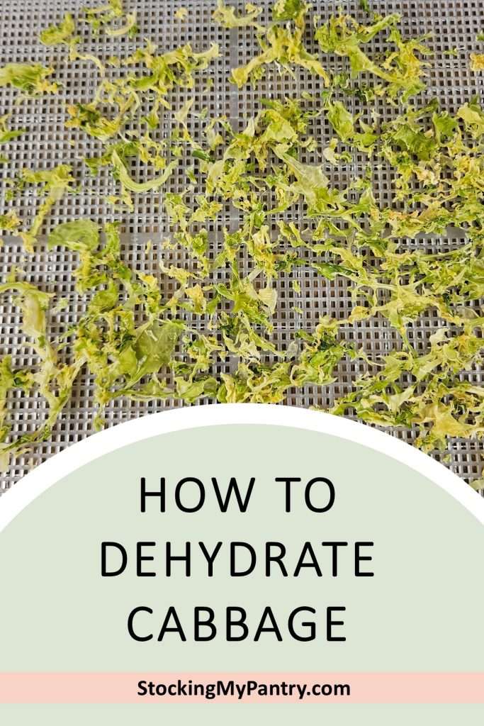 how to dehydrate cabbage pin with dehydrated cabbage on a dehydrator tray.