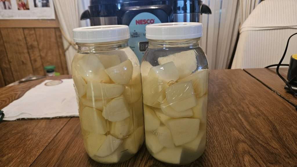 cubed russet potatoes in half gallon mason jars. Soaking overnight in the fridge helps reduce starch before canning russet potatoes.