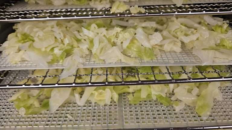How to Dehydrate Cabbage