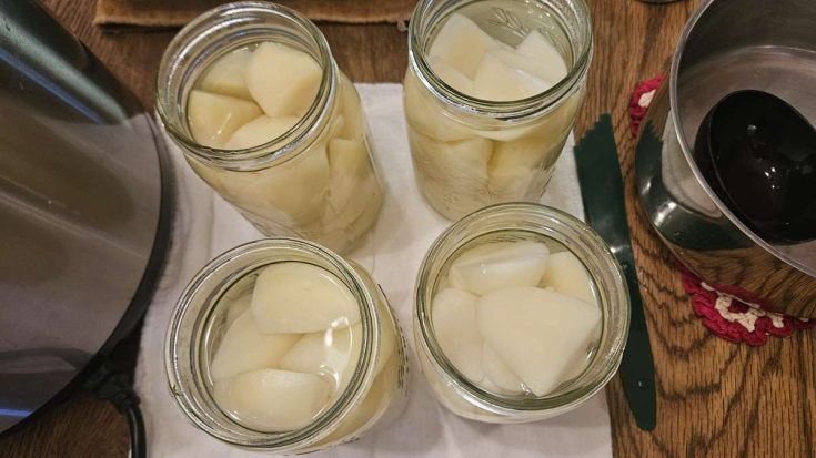 Canning Russet Potatoes