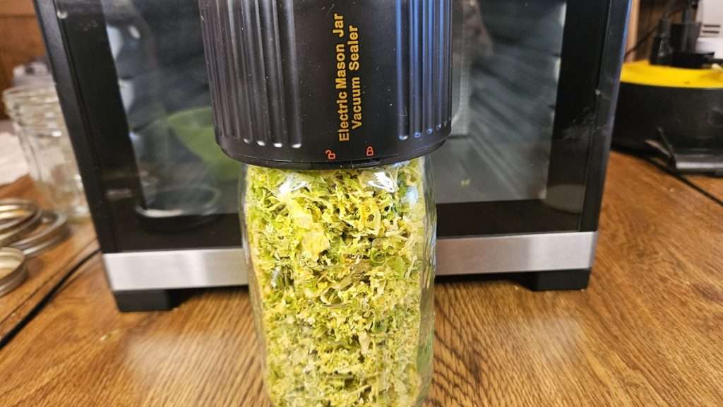 Mason jar of dehydrated cabbage being vacuum sealed with attachment.