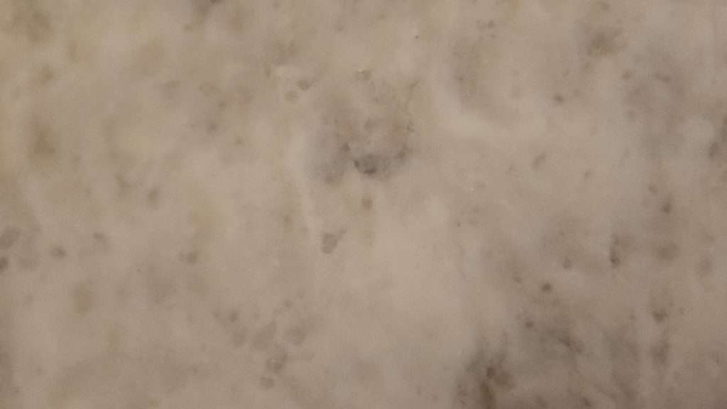 Mashed potatoes spread in a thin layer on a dehydrator tray, slightly uneven texture.