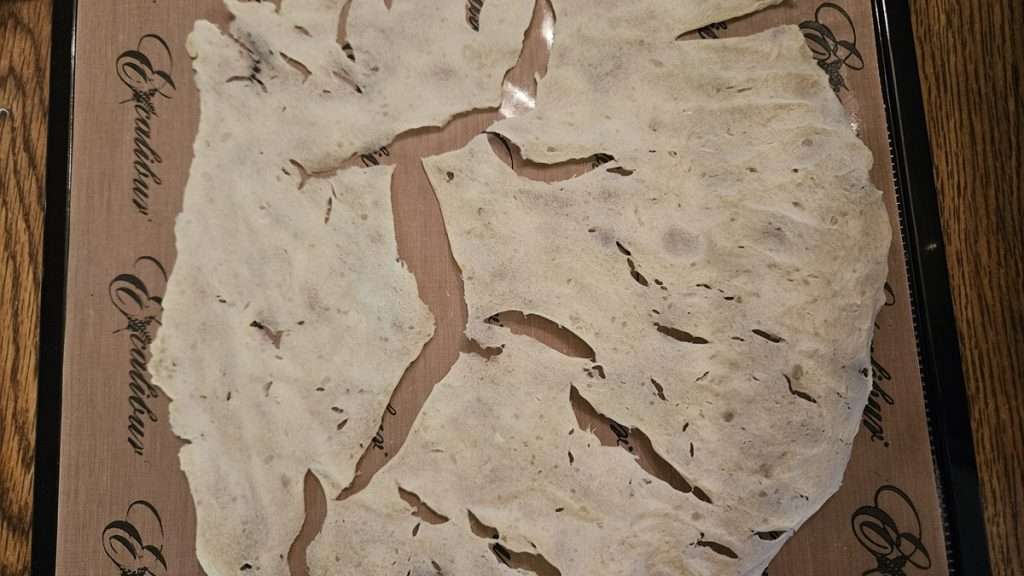 Partially dehydrated mashed potatoes beginning to crack after five hours in the dehydrator.
