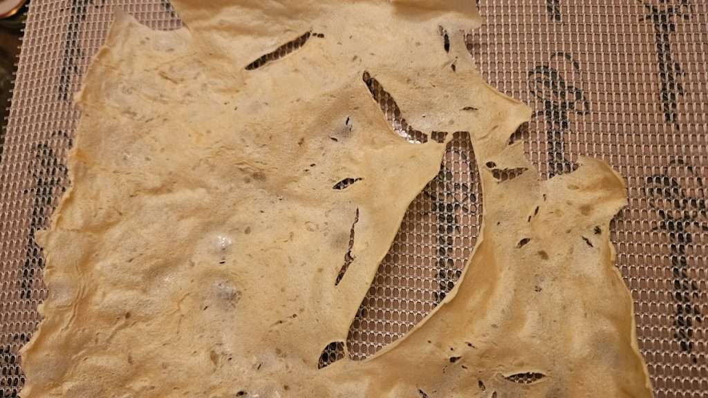 Completely dehydrated mashed potatoes on dehydrator trays, dry and crisp.