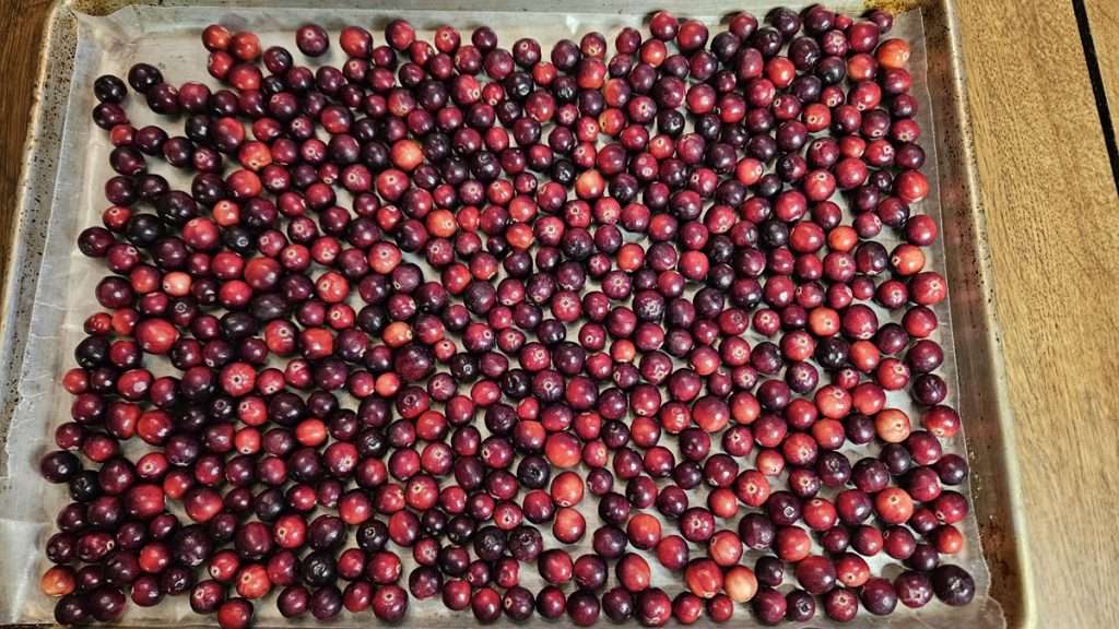 resh cranberries in a single layer on a wax paper line baking sheet. 