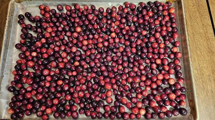 How to Freeze Cranberries