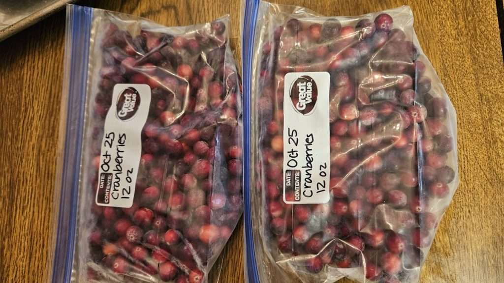 Two sealed freezer bags filled with cranberries on table.