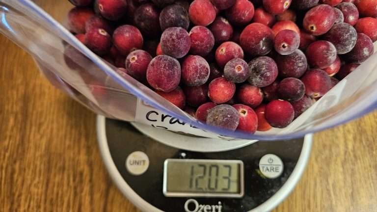 How to Freeze Cranberries (So You Can Enjoy Them All Year Long)