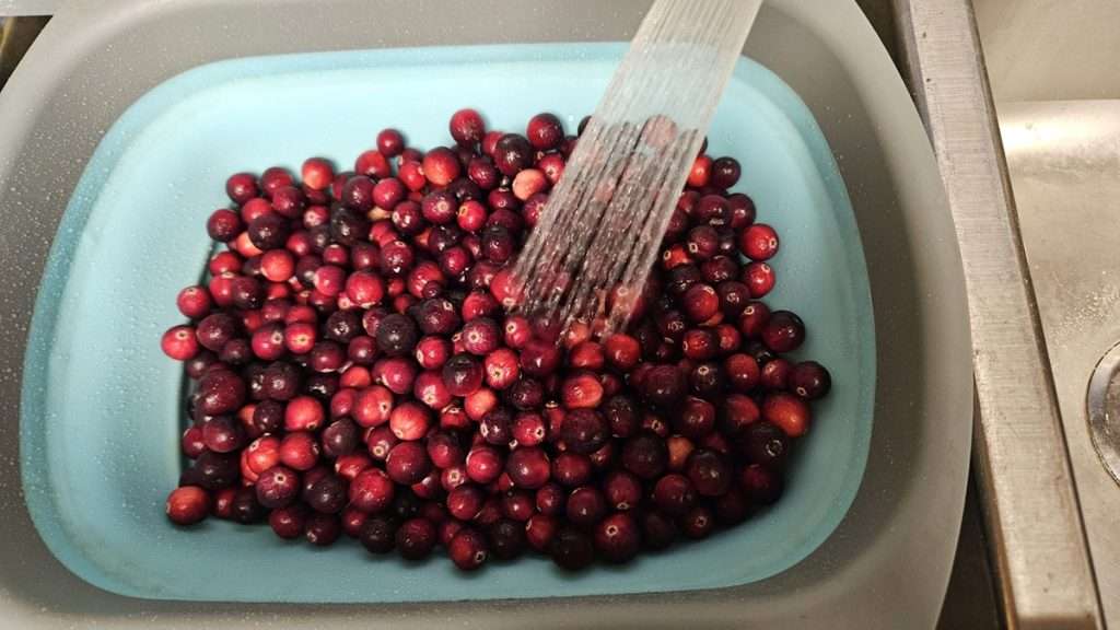 Fresh cranberries being rinsed in a colander over the sink.