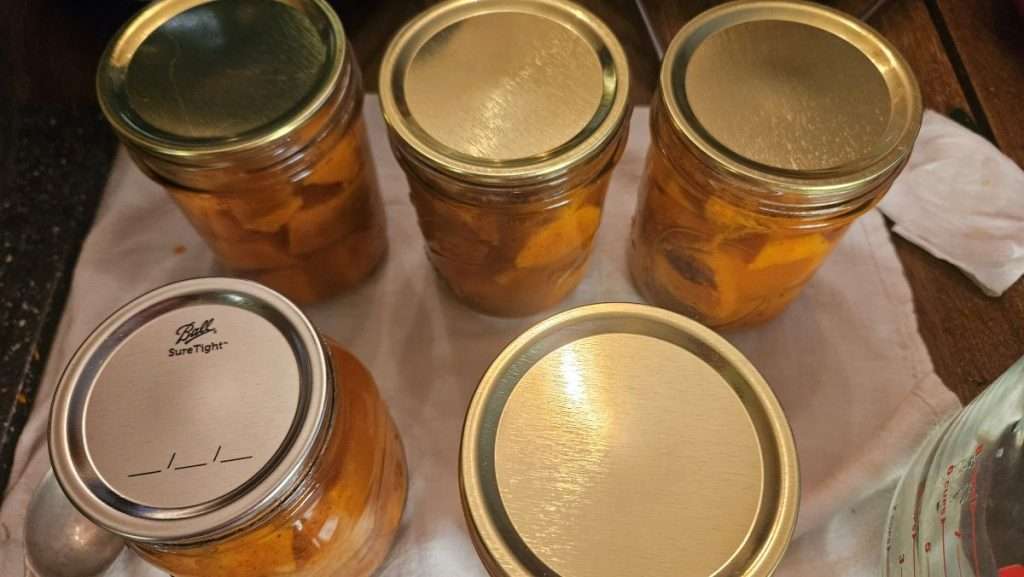 Overhead view of jars filled with sweet potatoes and lids placed on top