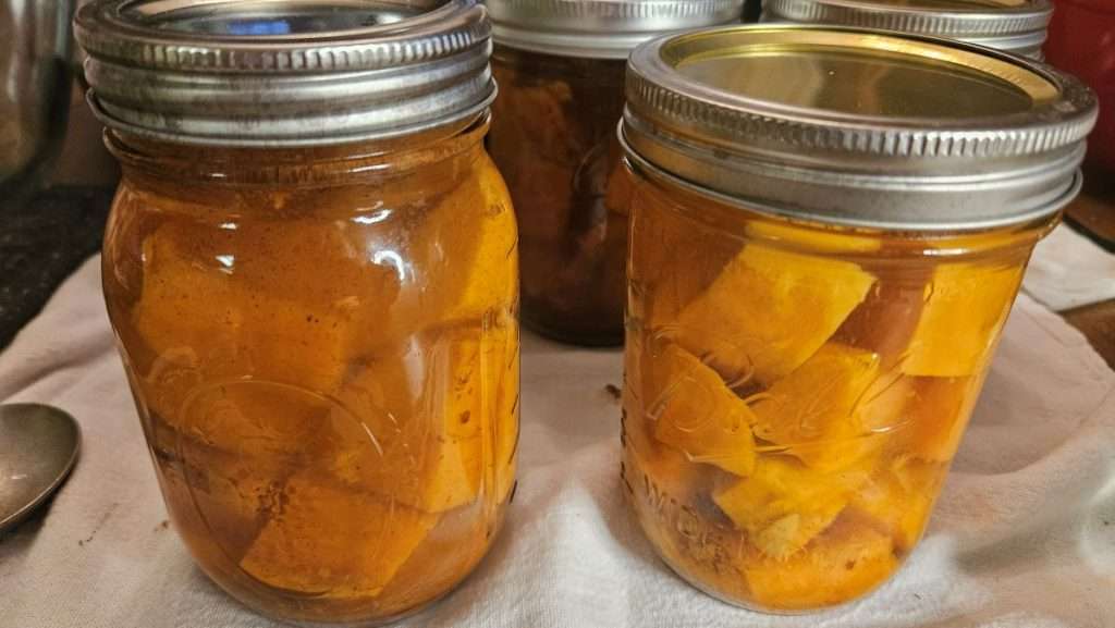 Canning jars filled with sweet potatoes, ready to go into the canner.