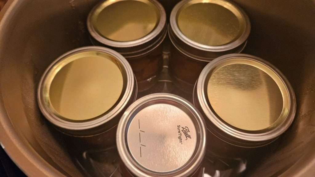 Overhead view of pint jars with sweet potatoes inside Nesco pressure canner