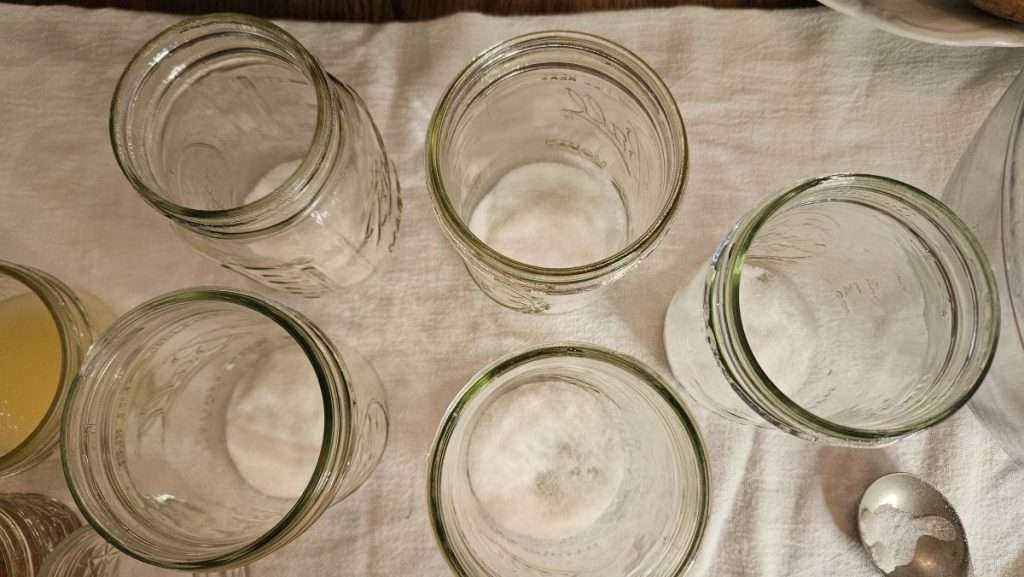Overhead view of five pint jars containing sugar