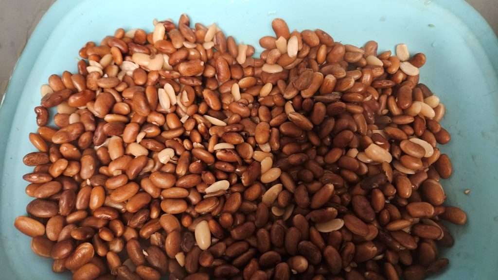 Drained, partially cooked beans