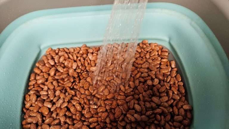 quick soak beans for safe home canning