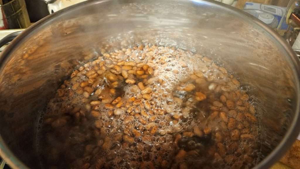 quick soak beans for canning requires bringing the beans to a boil.