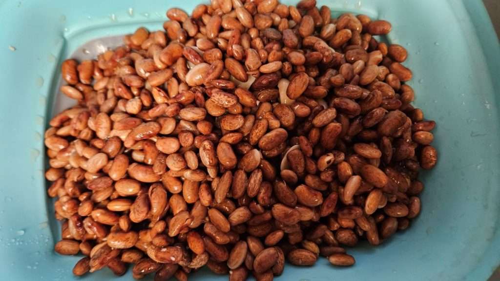 Quick soaked beans in a colander